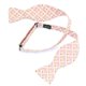Noeud papillon rose marshmallow japonais leafy - Le Coq en Pap'