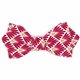 Noeud papillon japonais leafy rouge - Le coq en pap