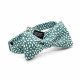 Noeud papillon vert thym crispy - Le Coq en Pap'