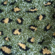 Chaussettes léopard kaki/argent - BILLYBELT