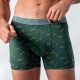 Boxer Green Wild - Billybelt