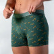 Boxer Green Wild - Billybelt