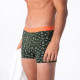 Boxer Adventurer- Billybelt