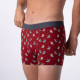 Boxer Marcel - Billybelt