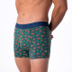 Boxer Kinai - Billybelt
