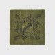 Petit foulard Sacha Kaki - Billybelt