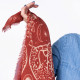 Petit foulard Sacha Terracotta - Billybelt