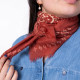 Petit foulard Sacha Terracotta - Billybelt