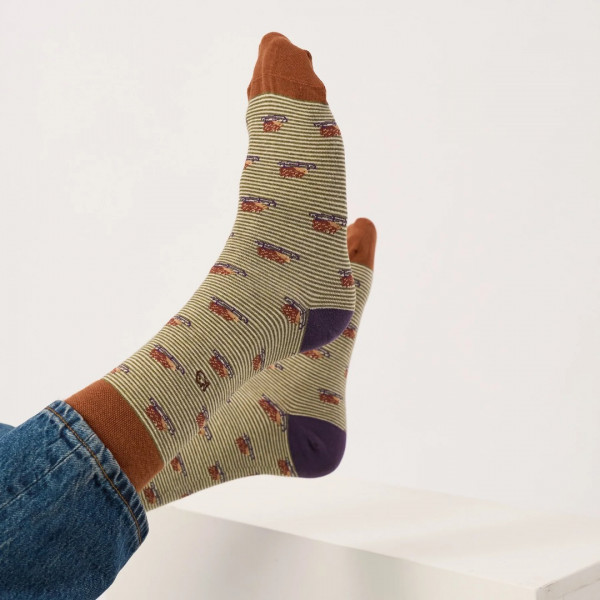 Chaussettes hérisson  - Billybelt